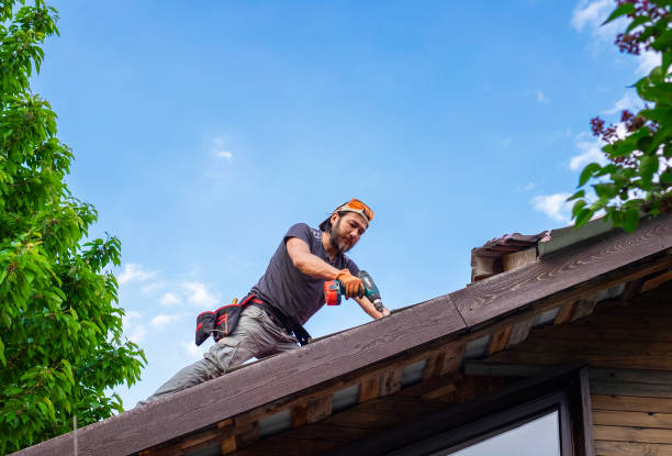 Best Steel Roofing  in Jonesboro, AR